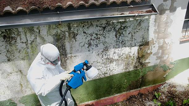 Mold Remediation service in Victoria, Victoria, VA
